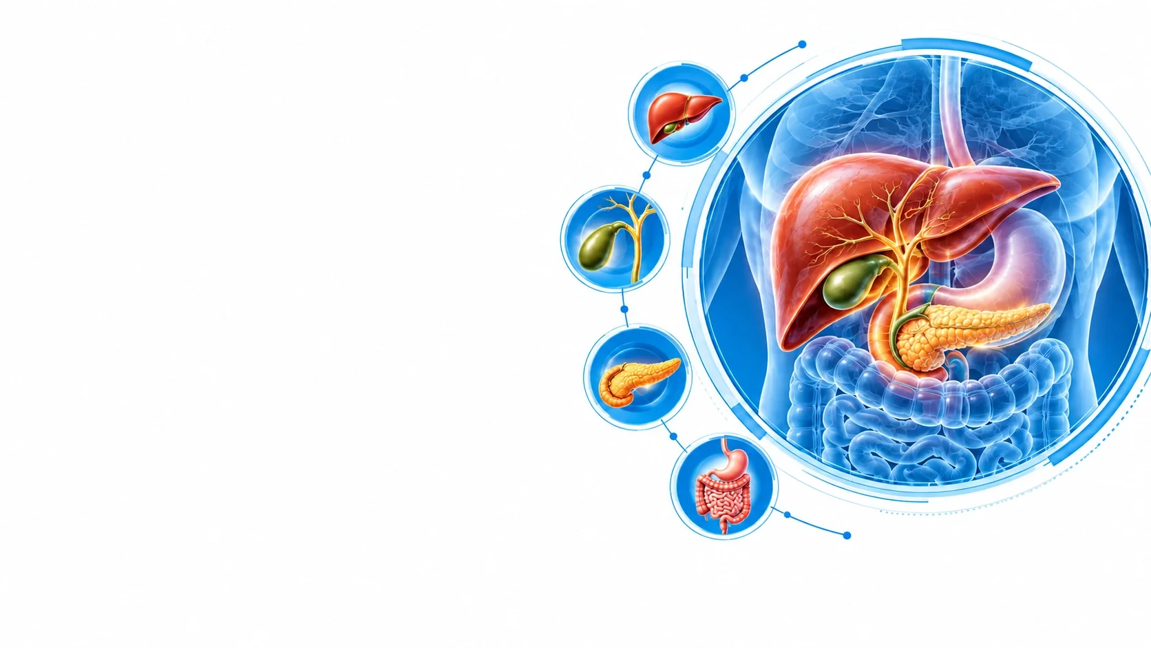 Expert Liver & HPB (Hepato-Pancreato-Biliary) care at Vasavi Hospitals, Bengaluru