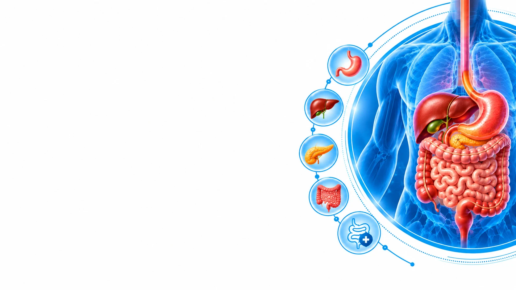 Expert Medical Gastroenterology care at Vasavi Hospitals, Bengaluru