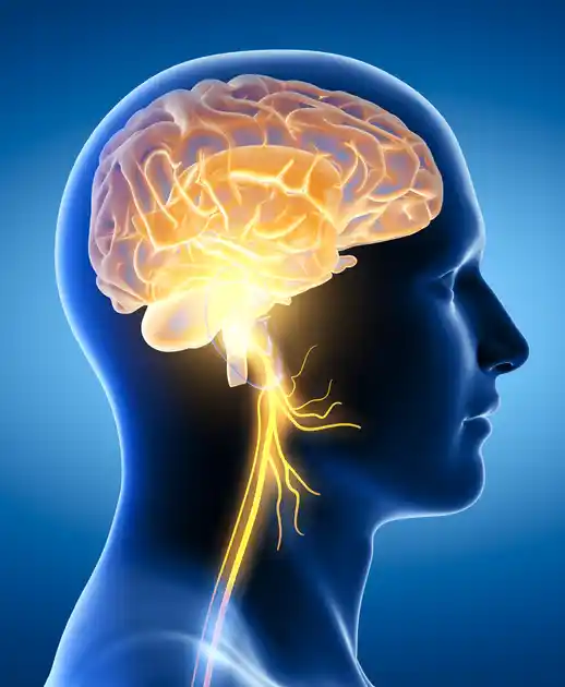 Neurology Hospital in Bangalore