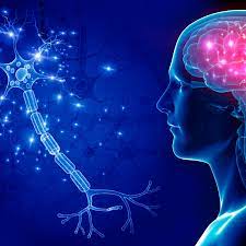 Neurology Excellence in Bangalore