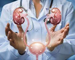 Urology Treatment